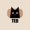 Ted - Neon Demand&Birds are better&Stian Fjelldal