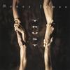 Roadrunner (Album Version) - Boney James