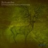 Unmonitored Circumstances (Original Mix) - Schuerfes