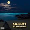 Bajo La Luna (Explicit) - Seah