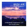 A Wonderful Experience (Dom Paradise Remix Edit 2020) - Ibiza Air&Walter Silva P.