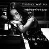 Fantasy Waltzes: No. 6 in C Major. Allegro giocoso - Silu Wang&William Alwyn