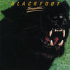 In The Night (LP版) - Blackfoot