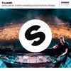 WITH U (David Puentez Remix) - Tujamo&Karen Harding
