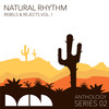 Vibes Alive (Natural Rhythms Organ Dubba) - Joey Youngman