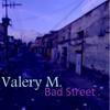 Navigator - Valery M.