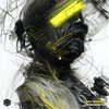 Ladders - Jay Norris