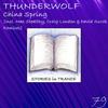 China Spring (Craig London Remix) - Thunderwolf