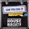 Can You Dig It (Original Mix) - DJ James Ingram