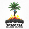 Pech(feat. Freddie Konings) - Joost Hoekaf&Freddie Konings