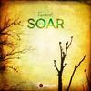 Soar - tonepoet
