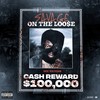 Savage On The Loose (Explicit) - Dee Watkins