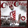 Only In Da North (Explicit) - Feddy Hustle&Big Tone&Cash Crop