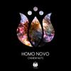 Cashew Nut - Homo Novo