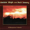 Needle And The Damage Done - Pickin' On Series