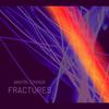 Fractures - Martin Connor