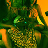 Locuras (Explicit) - Nilvan