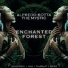 Enchanted Forest - the Mystic&Alfredo Botta