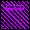 Manning - Dried Flower