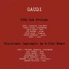 30Hz Dub Prelude - Gaudi&Colin Edwin&Ted Parsons&Brian Allen&Eraldo Bernocchi&Coppe