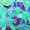 Intrinsic - Odd Mob
