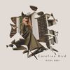 Carefree Bird - Nicol Beri