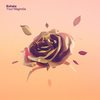 Exhale - Your Magnolia