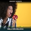 Mela brasiliana (24 bit remastered) - Vincent Vicente