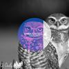 Room 124 - Andrea Matteu