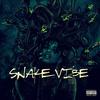 Snake Vibe (Explicit) - Cristina Mackey