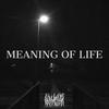 MEANING OF LIFE (feat. SENZORITY) (Explicit) - LWVIATHAN&SENZORITY