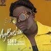 S3K3 - Agbeshie