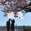 晴天 - 决7