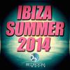 Revenge Of Doh (Original Mix) - Les Schmitz&Oliver Schmitz