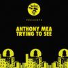 Trying To See - Anthony Mea
