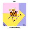 Undercover Lies - Biray