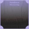 Suchlike Meter - Sence Gand