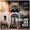 Regalame una rosa(feat. Pandi) - Dario Greco&Pándi