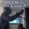 She Know It (Explicit) - Spook G.