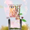 Secret Crush (Radio Edit) - Raytid