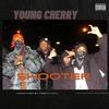 Shooter (feat. John Gabanna, Juelz Santana, Lil Gotit, AchtVier, Derek, Noizy & Yanni) (Explicit) - young cherry&teefaygoo&John Gabanna&M.O.030&Juelz Santana&Lil Gotit&AchtVier&Unknown Singer&Noizy