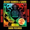 Dark Feelings (Giorgio Brindesi Remix) - Alexey Romeo&Savin&Giorgio Brindesi