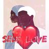 Self Love - BIG Mike the Virgo