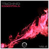 Rokkon (Original Mix) - T78&Greg Denbosa