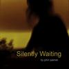 Silently Waiting - John Palmer