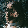 Something Like This - Skaar
