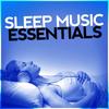 Voice of Truth - Sleep Music