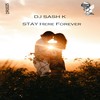 Stay Here Forever (Extended Mix) - DJ Sash K