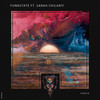 Caelia - Funkstate&Sarah Chilanti