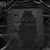 Bandida - Noss